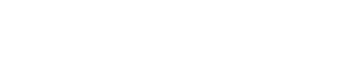 Benoa Swim logo